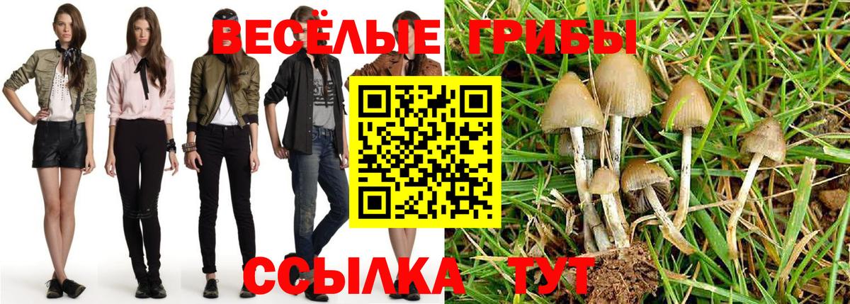 Псилоцибиновые грибы GOLDEN TEACHER Всеволожск
